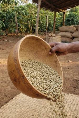 Arts de Saba - Café