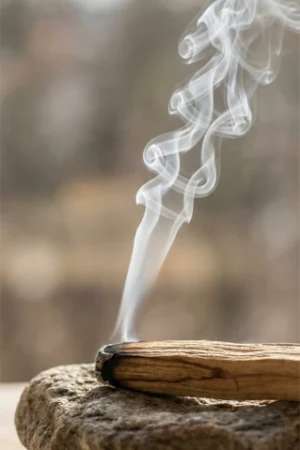 Arts de Saba - Encens